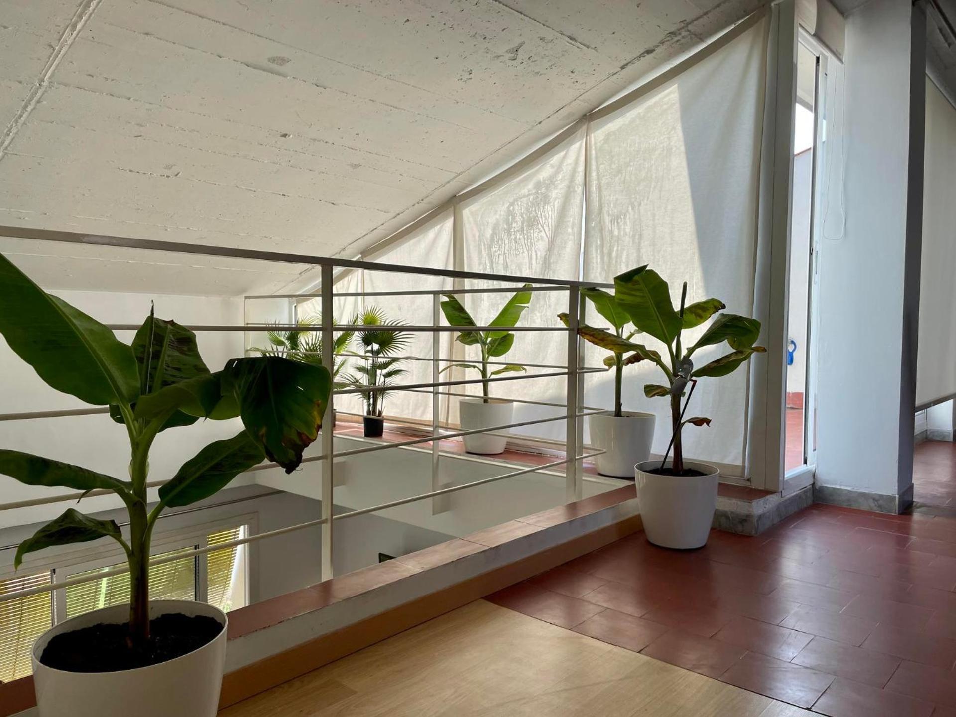 Apartamentos Port Marina Palamós Exteriör bild